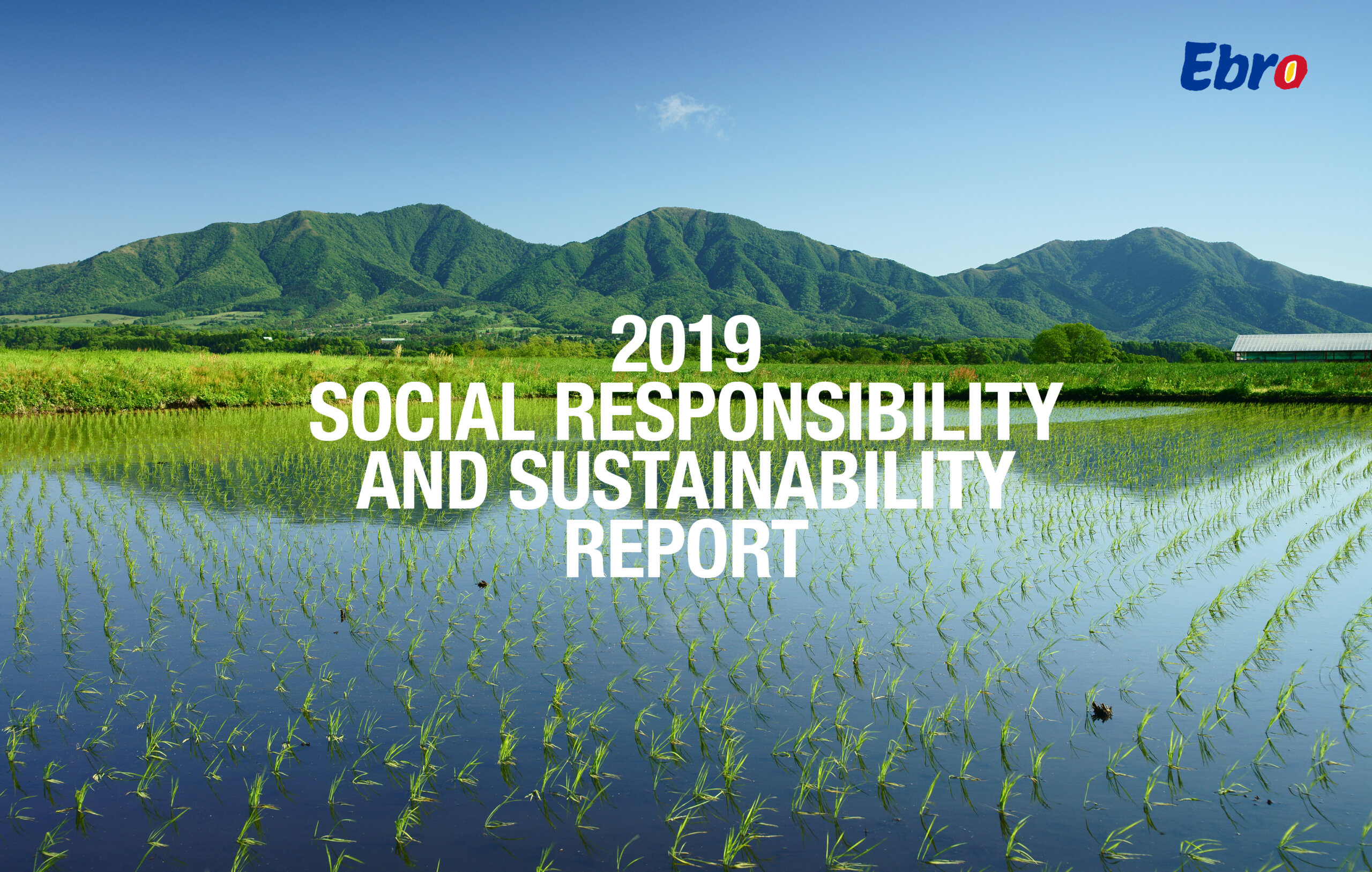 CSR Reports 2019