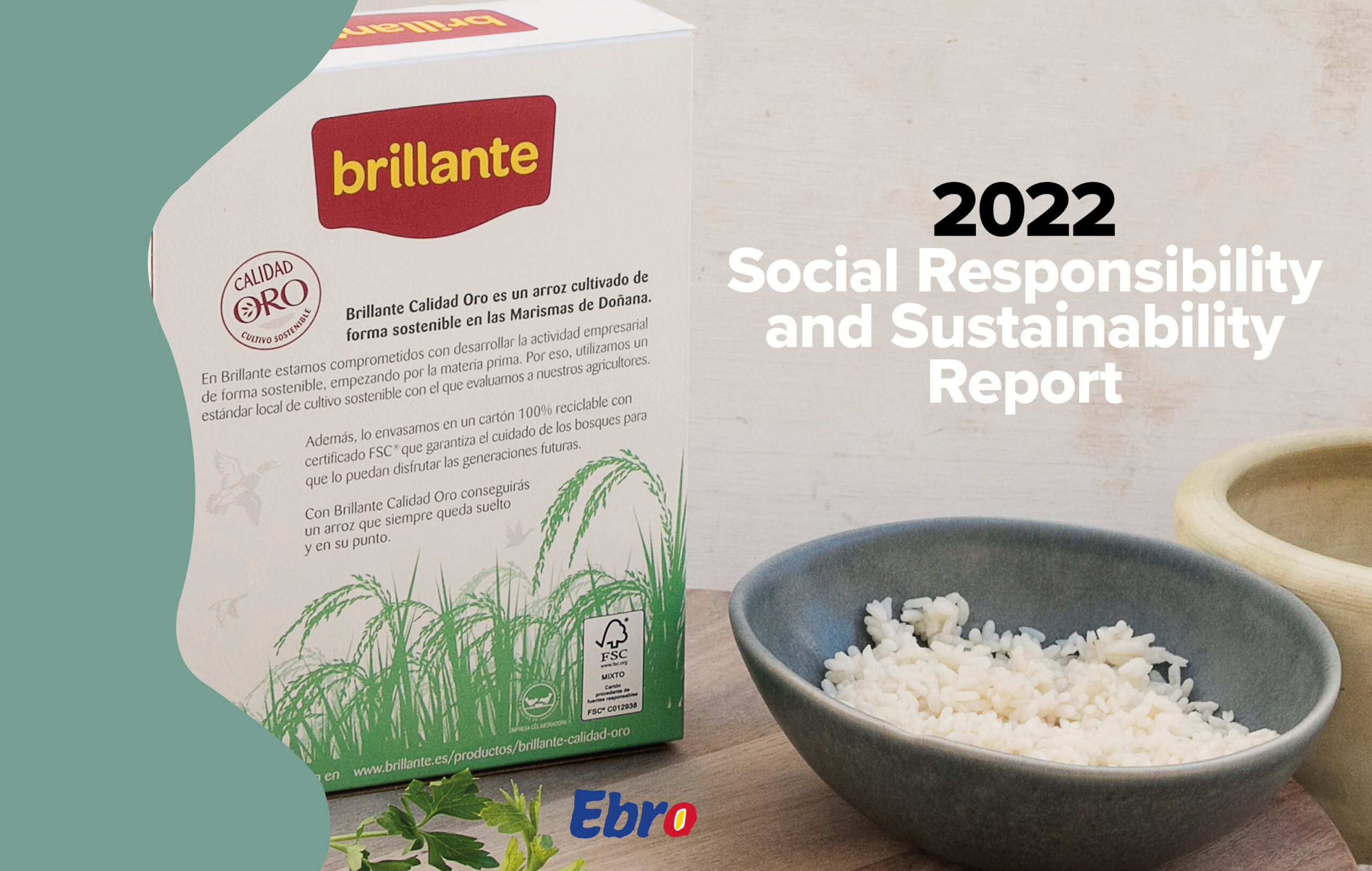 CSR Reports 2021