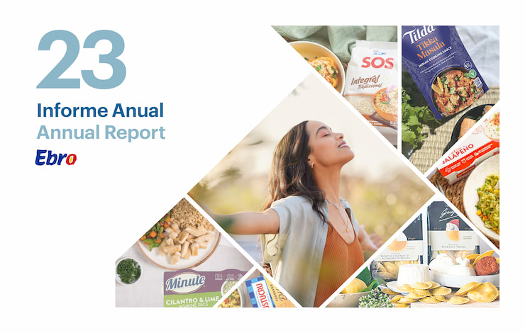 informe anual 2023 annual report